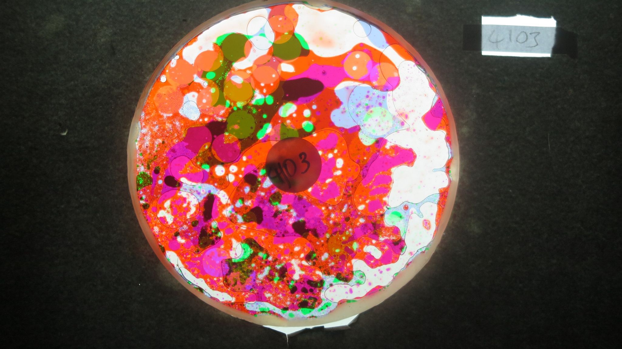 BV4103 bubble vision oil wheel